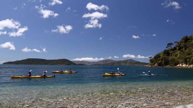 Embark on a mission of discovery and kayak through the beautiful network of sea drowned valleys that form the magical Marlborough Sounds.